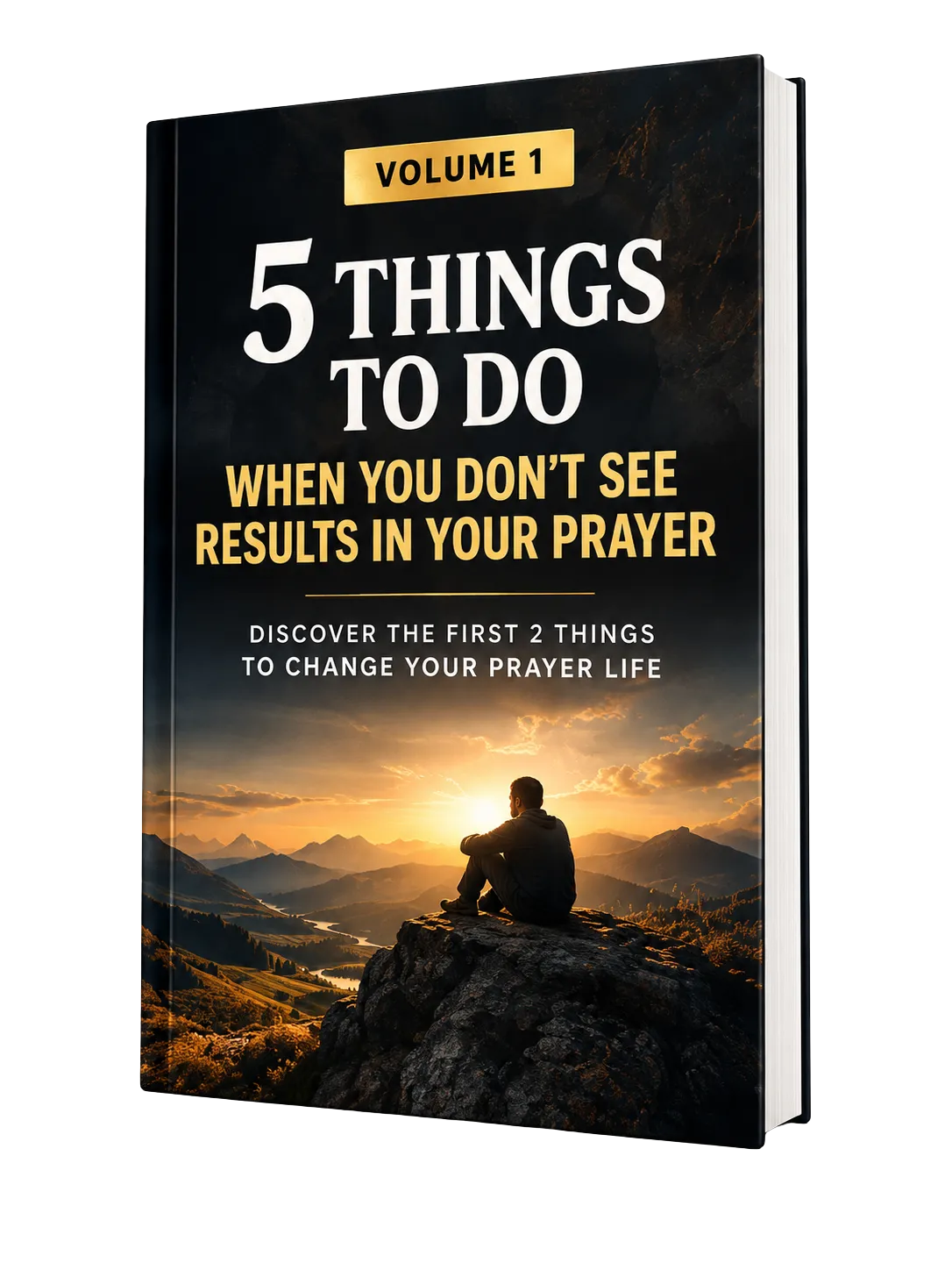 Cover of Volume 1: 5 Things To Do When You Don't See Results In Your Prayer